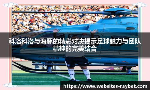 雷竞技ray官网