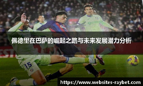 雷竞技